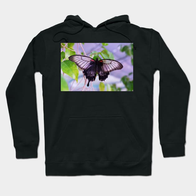 beautiful green butterfly Hoodie by likbatonboot